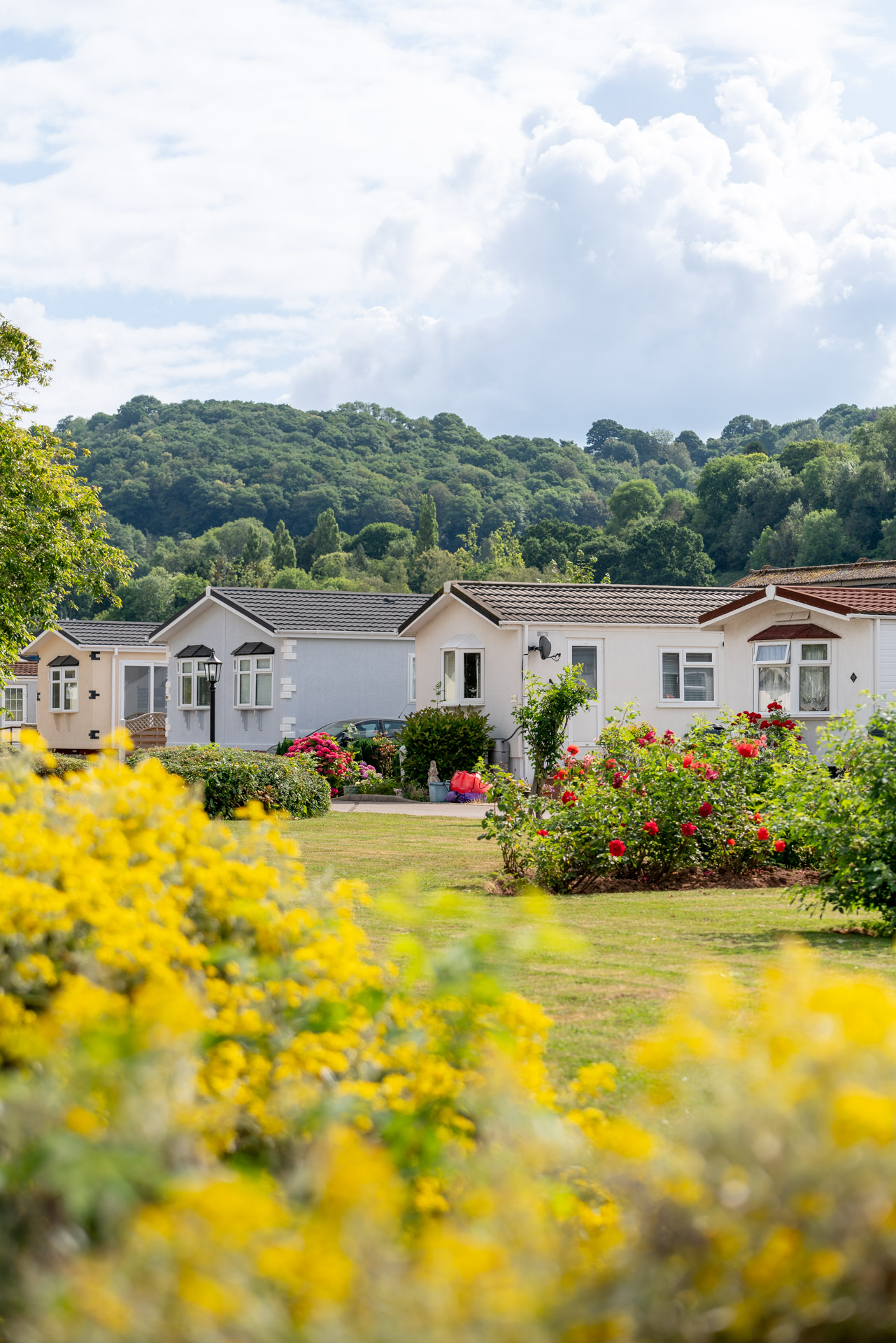 Spread across an open, green space | Riverside