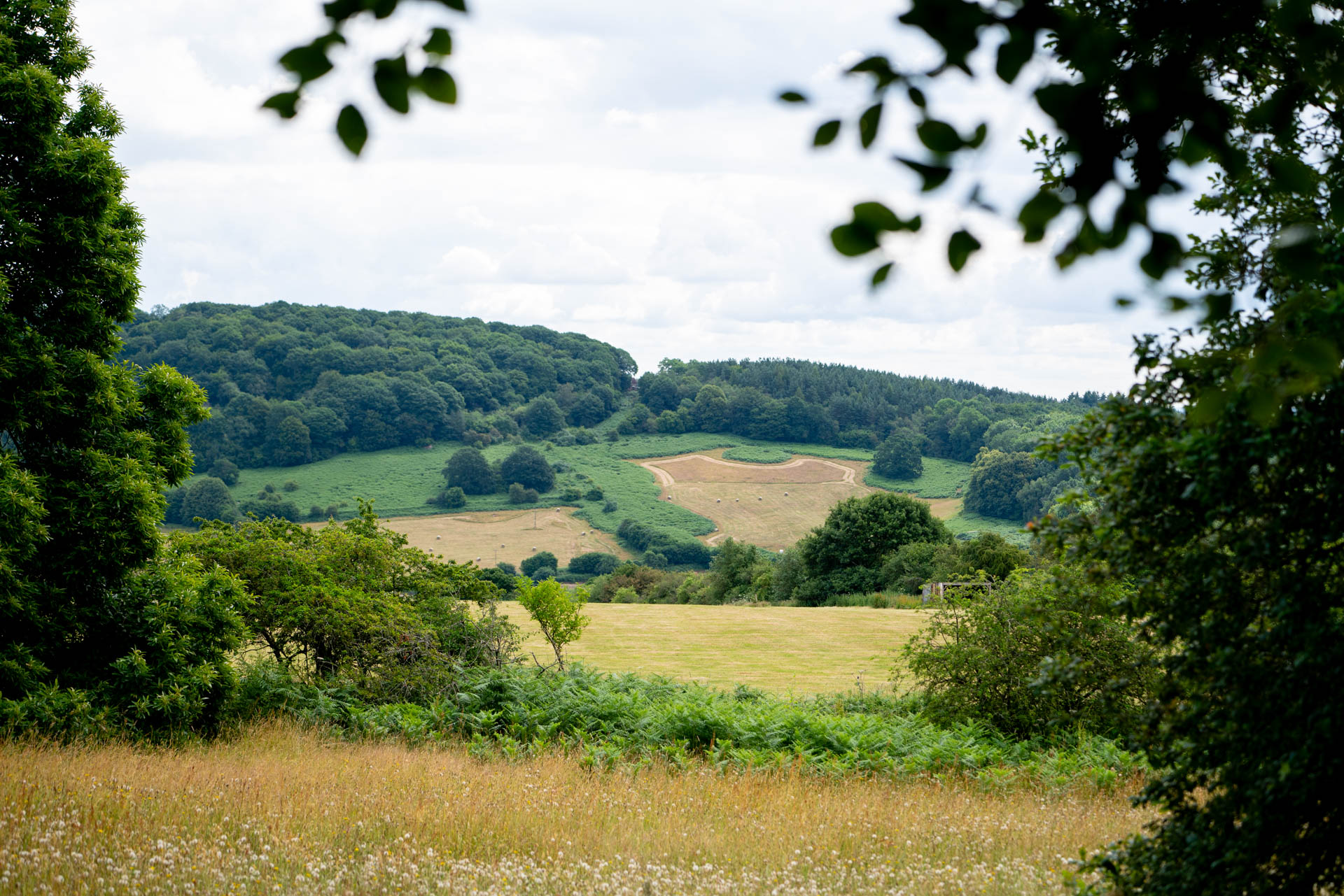 Wye Valley Area | Riverside